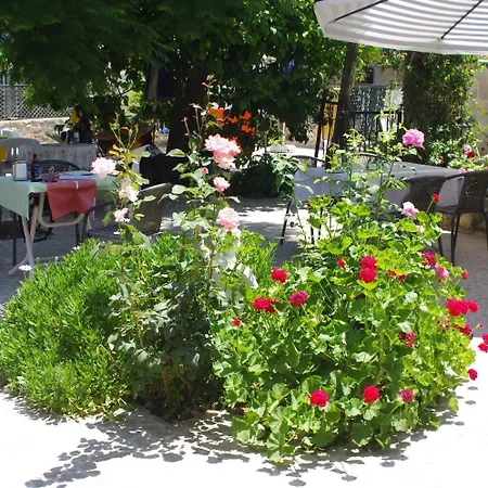 Akasya (adults Only) 锡德