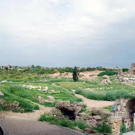 Akasya (adults Only) *