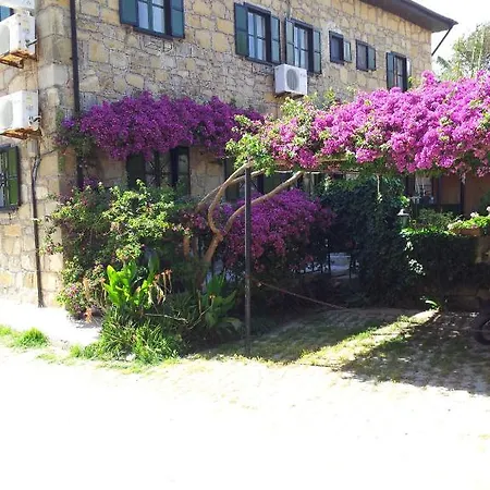 Akasya (adults Only) * Side