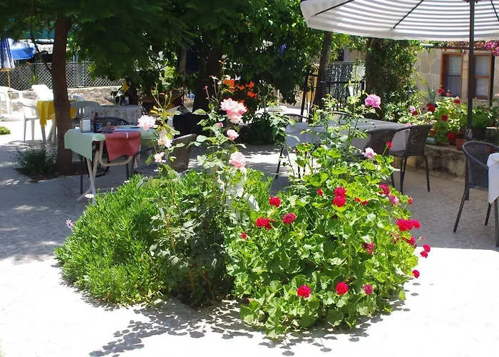 Akasya (adults Only) Side