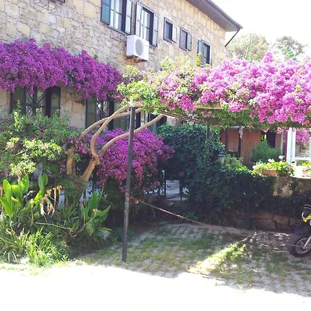 Akasya Hotel Sidé