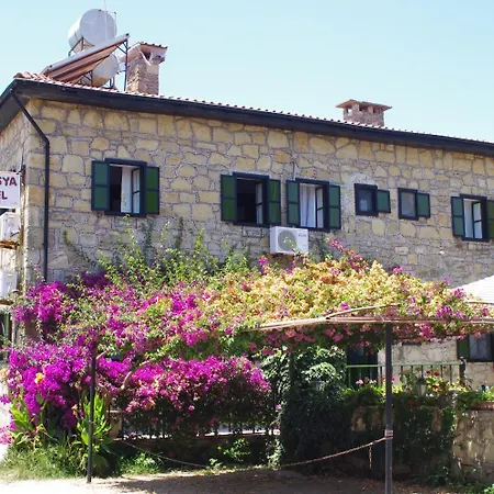 Hotel Akasya *