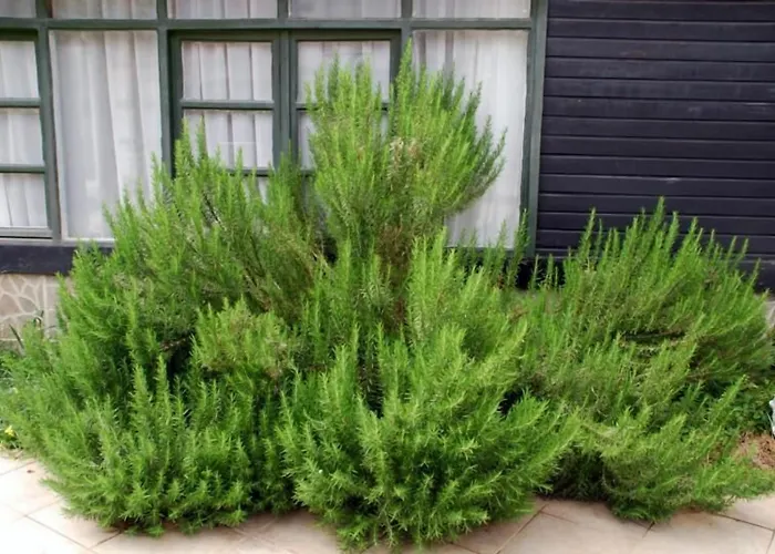 Akasya (adults Only) Hotel Side