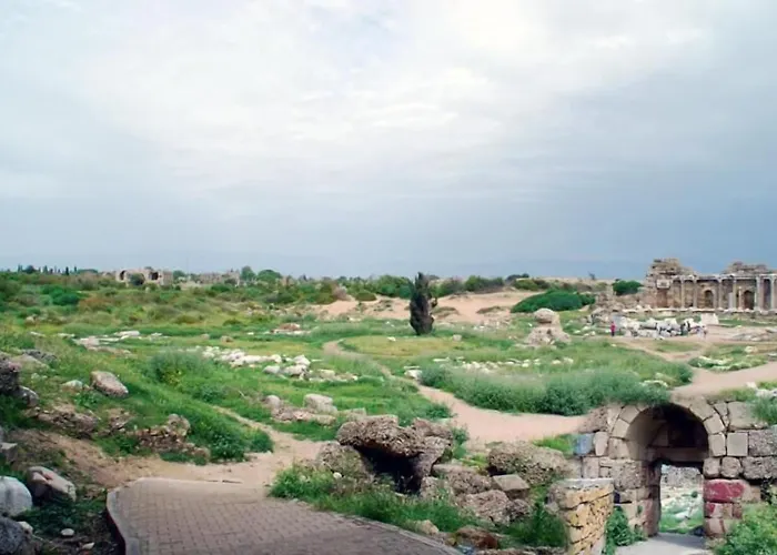 Akasya (adults Only) *